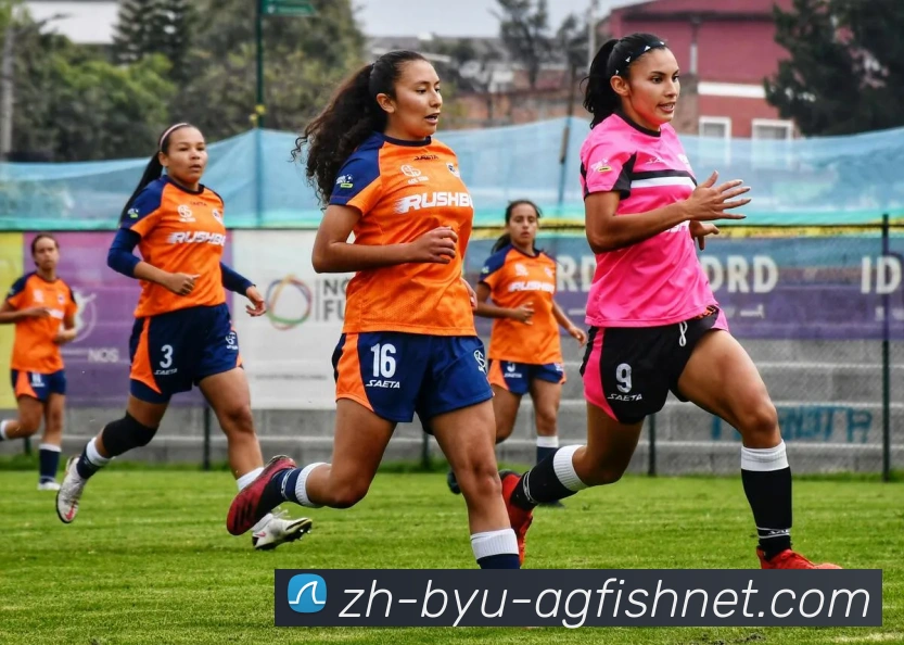 最新赛季德甲球队在欧战中的表现综述