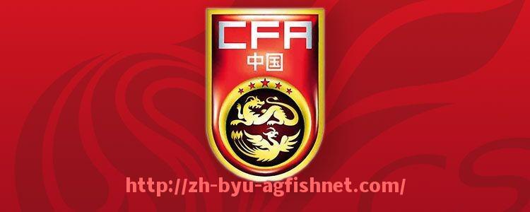 AG捕鱼王官网-德甲球队“费雷保”的背景资料与发展